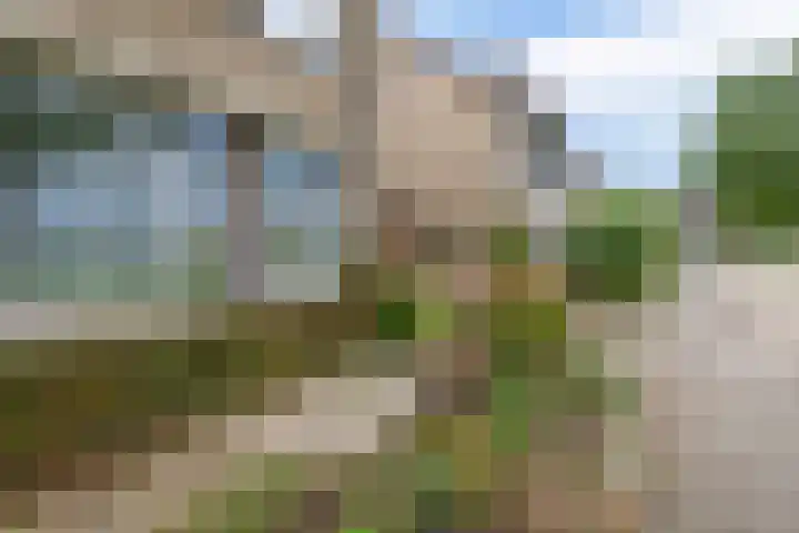 Boterbloemstraat 10 Krimpen aan de Lek thumbnail 9