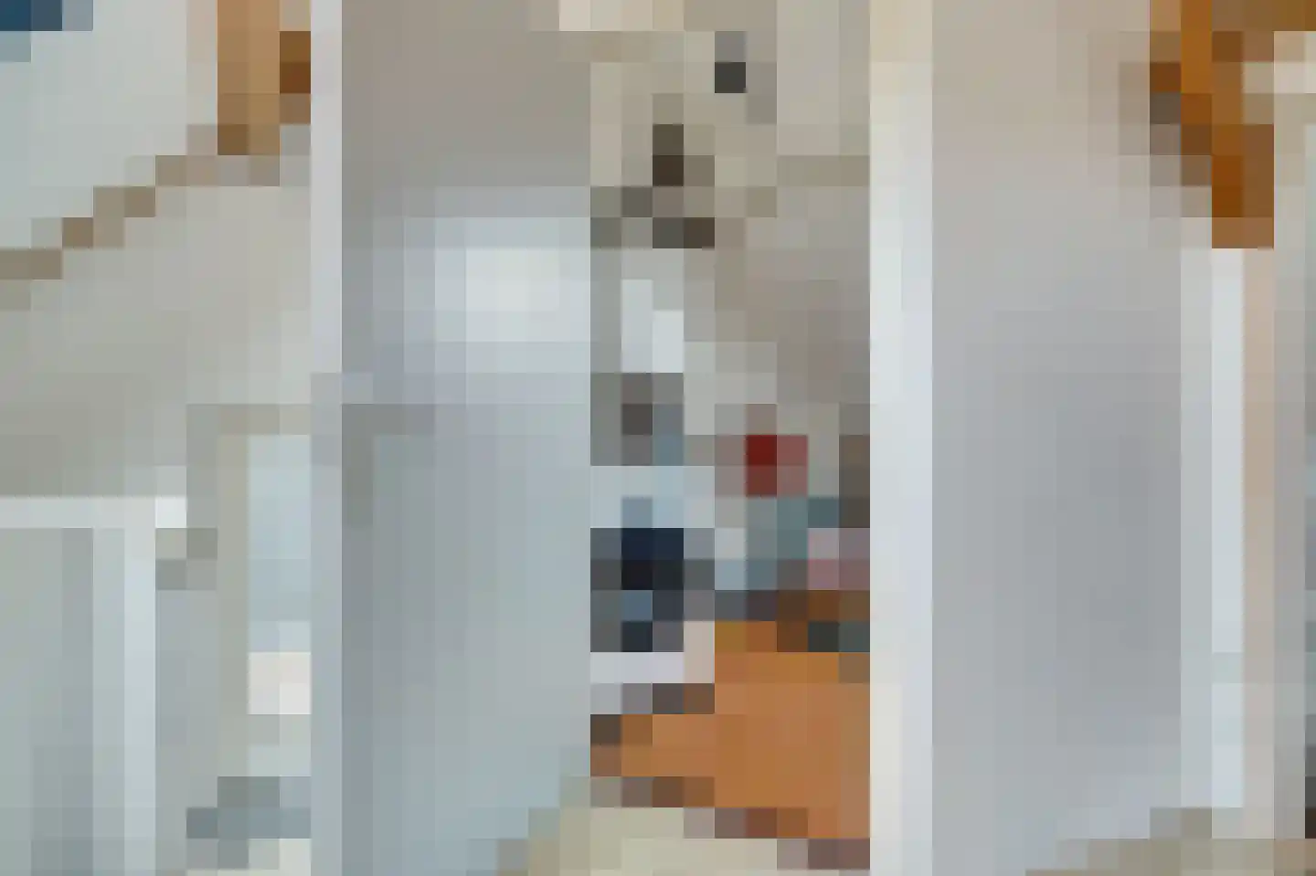 Boterbloemstraat 11 Hedel thumbnail 24