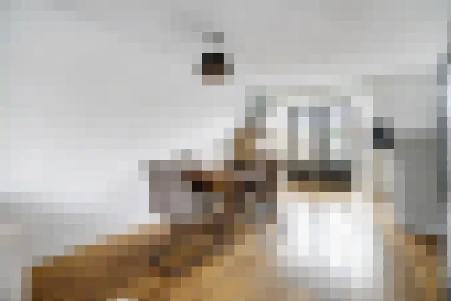 Boterbloemstraat 11 Hedel thumbnail 8