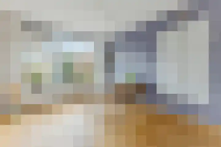 Boterbloemstraat 12 Krommenie thumbnail 10