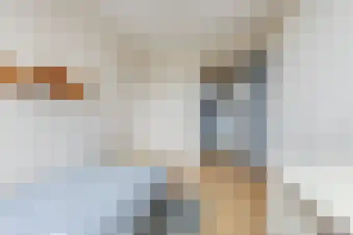 Boterbloemstraat 12 Krommenie thumbnail 24