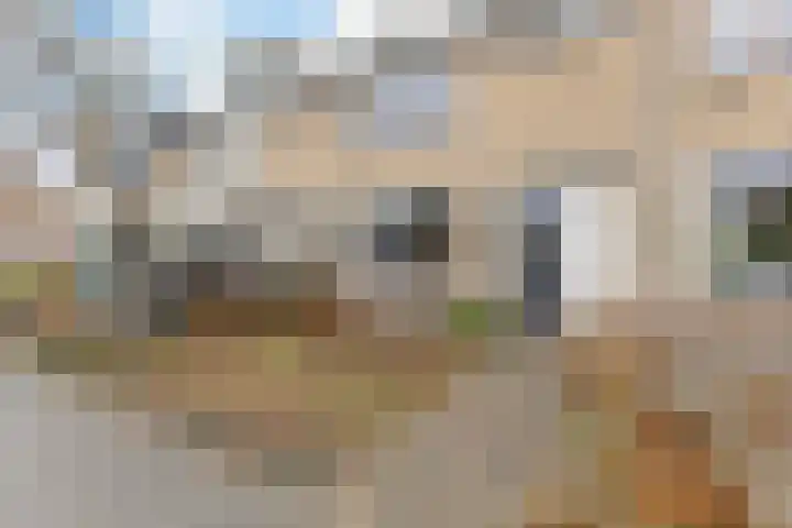 Boterbloemstraat 12 Krommenie thumbnail 6