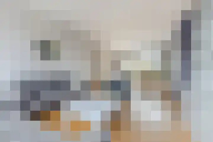 Boterbloemstraat 12 Krommenie thumbnail 8