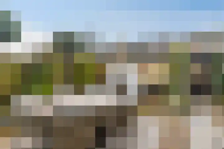 Boterbloemstraat 13 Krimpen aan de Lek thumbnail 21