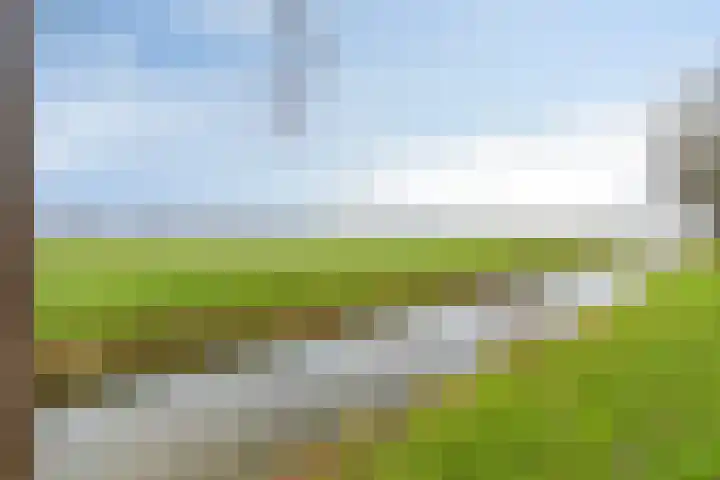 Boterbloemstraat 13 Krimpen aan de Lek thumbnail 24