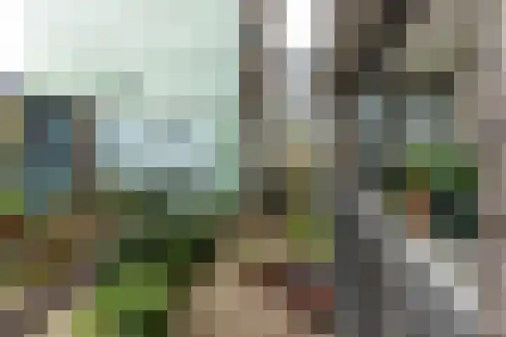 Boterbloemstraat 15 Amsterdam thumbnail 18