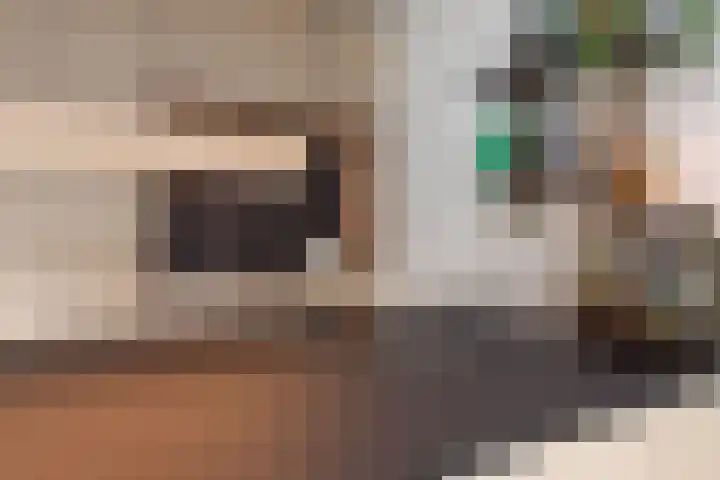 Boterbloemstraat 15 Amsterdam thumbnail 8