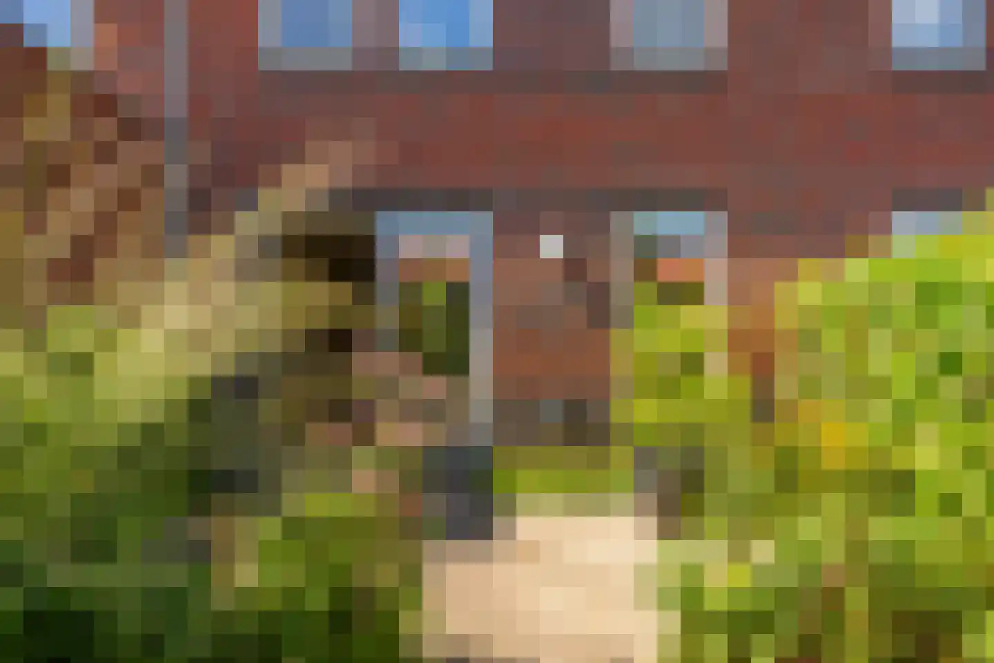 Boterbloemstraat 15 Arnhem thumbnail 33