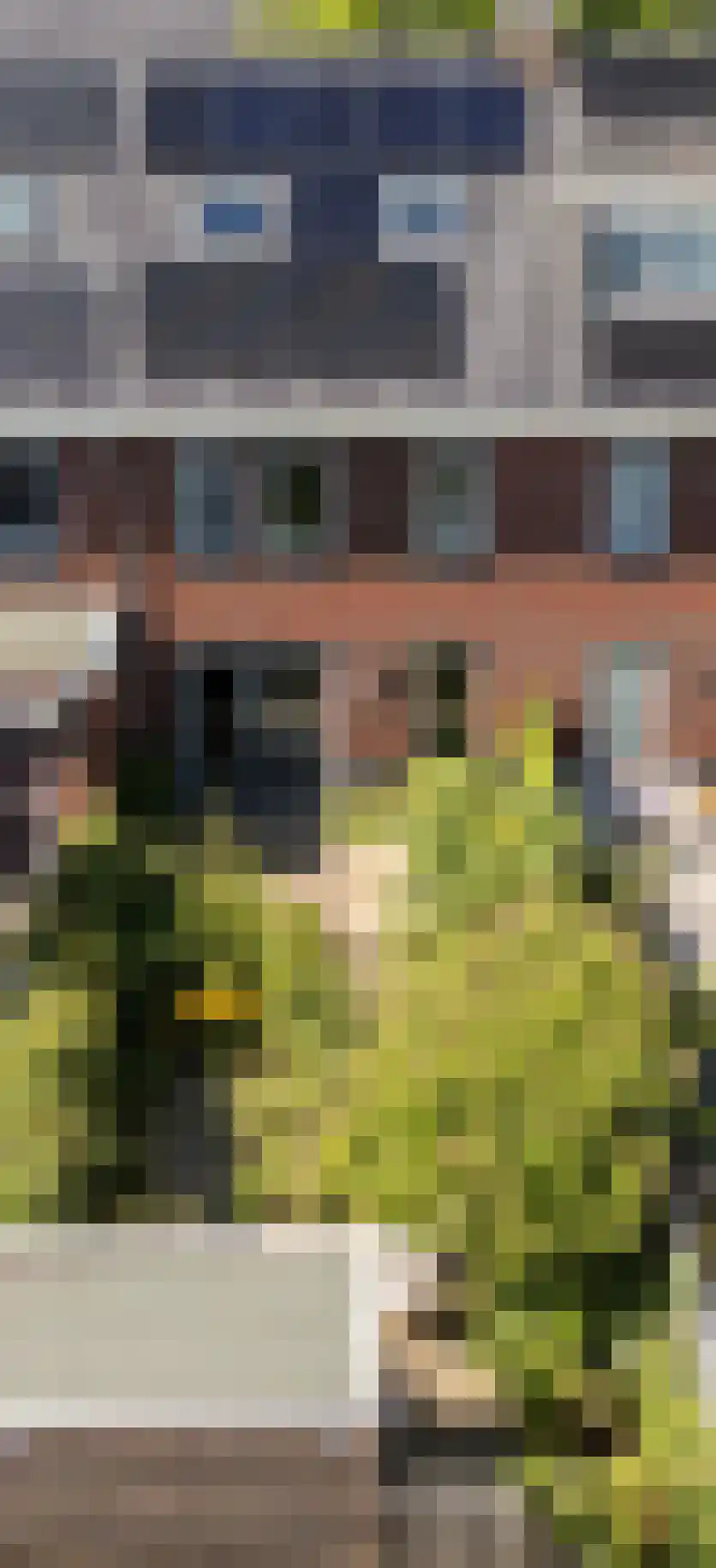 Boterbloemstraat 15 Arnhem thumbnail 34