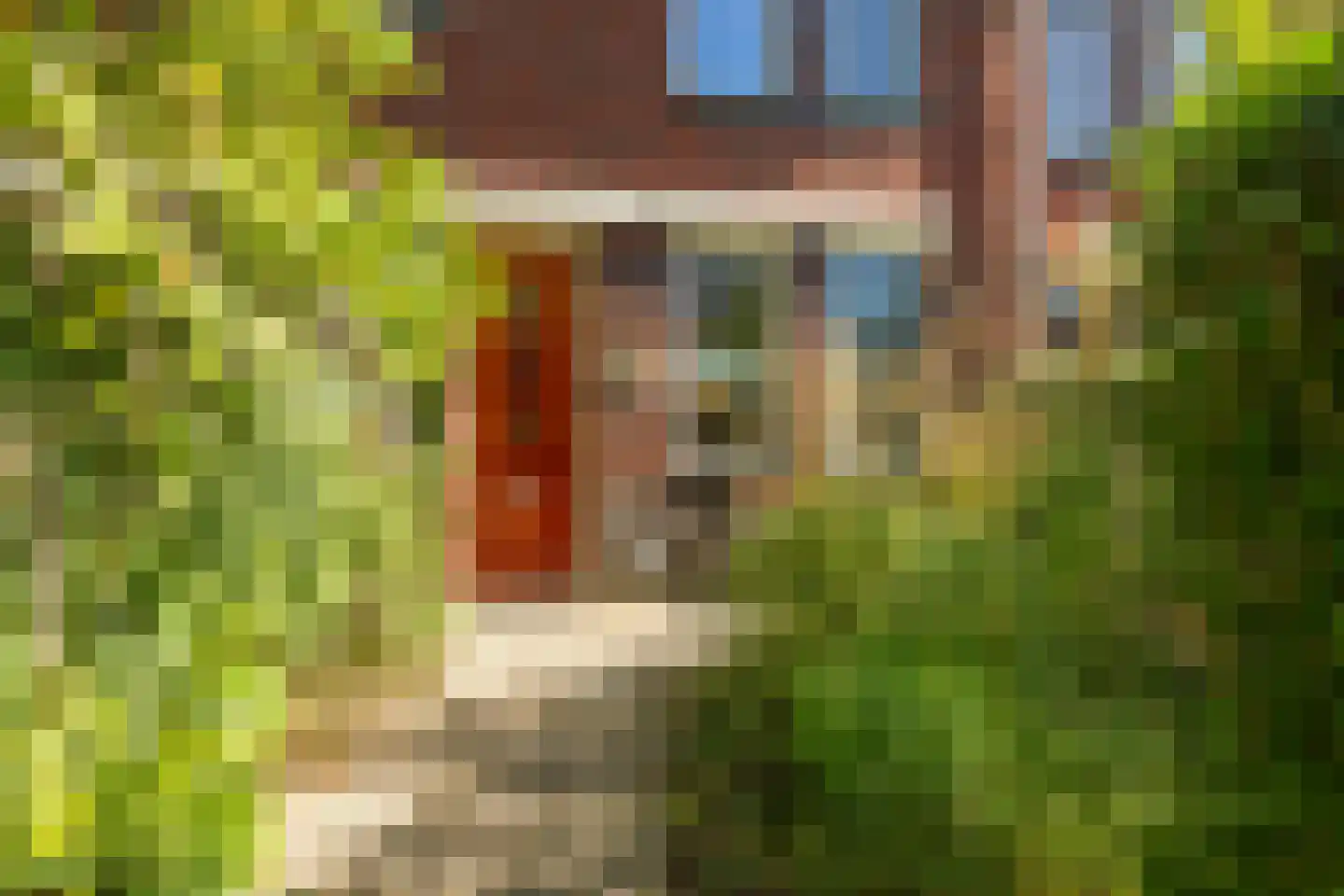 Boterbloemstraat 15 Arnhem thumbnail 5