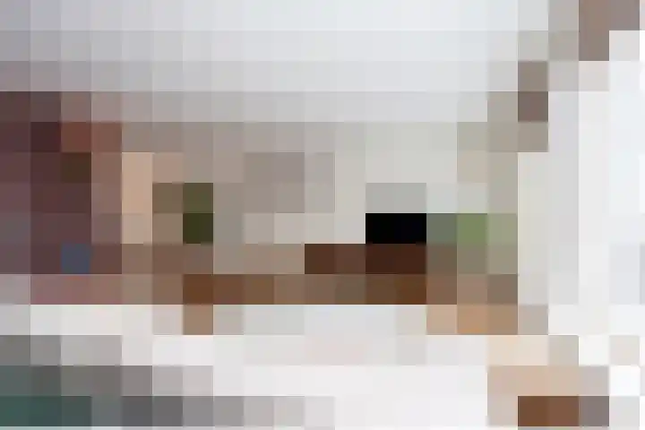 Boterbloemstraat 15 Berkel en Rodenrijs thumbnail 18