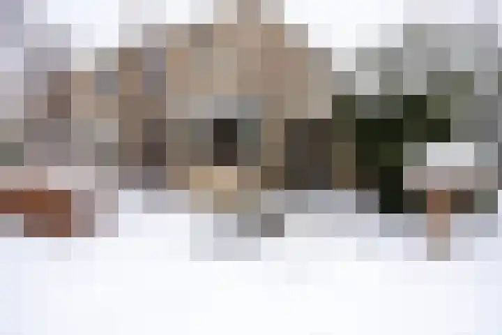 Boterbloemstraat 15 Berkel en Rodenrijs thumbnail 4