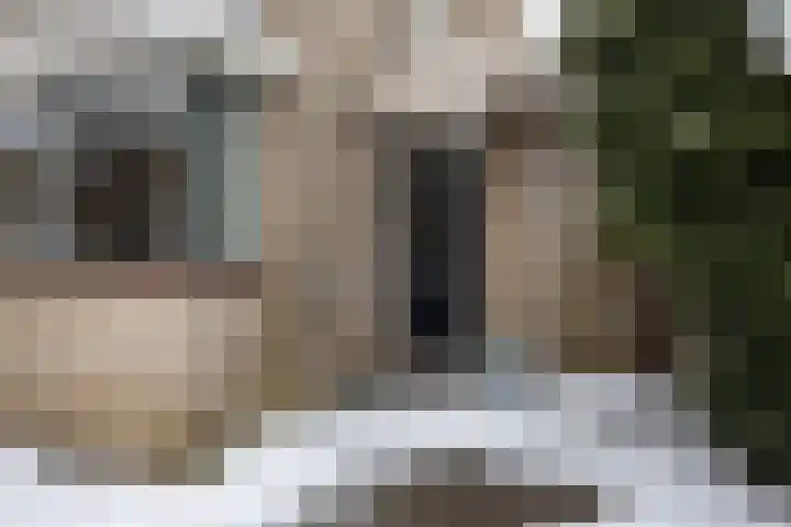 Boterbloemstraat 15 Berkel en Rodenrijs thumbnail 5