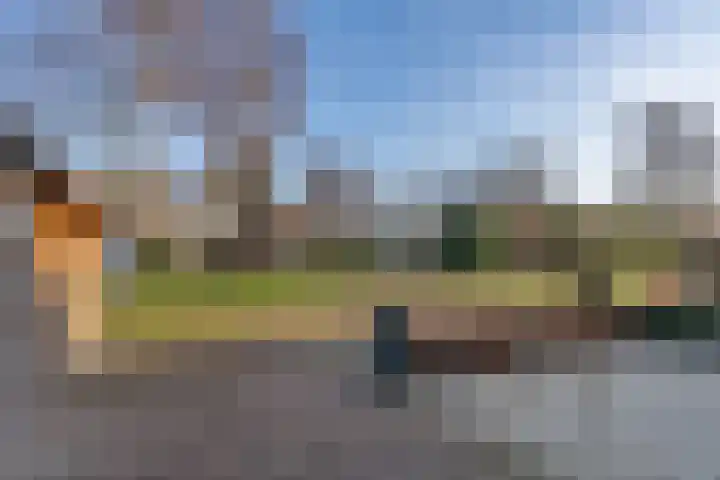 Boterbloemstraat 2 Hedel thumbnail 24