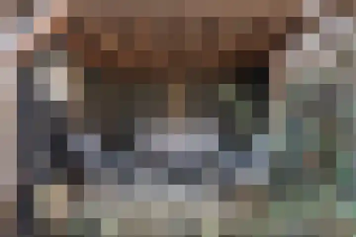 Boterbloemstraat 2 Hedel thumbnail 29