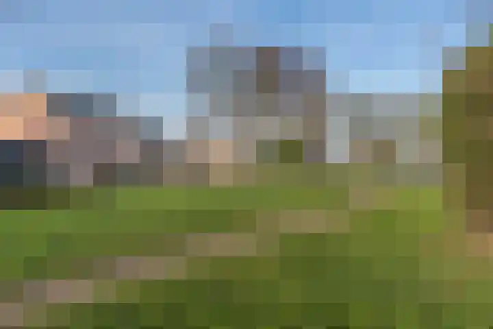 Boterbloemstraat 2 Hedel thumbnail 33