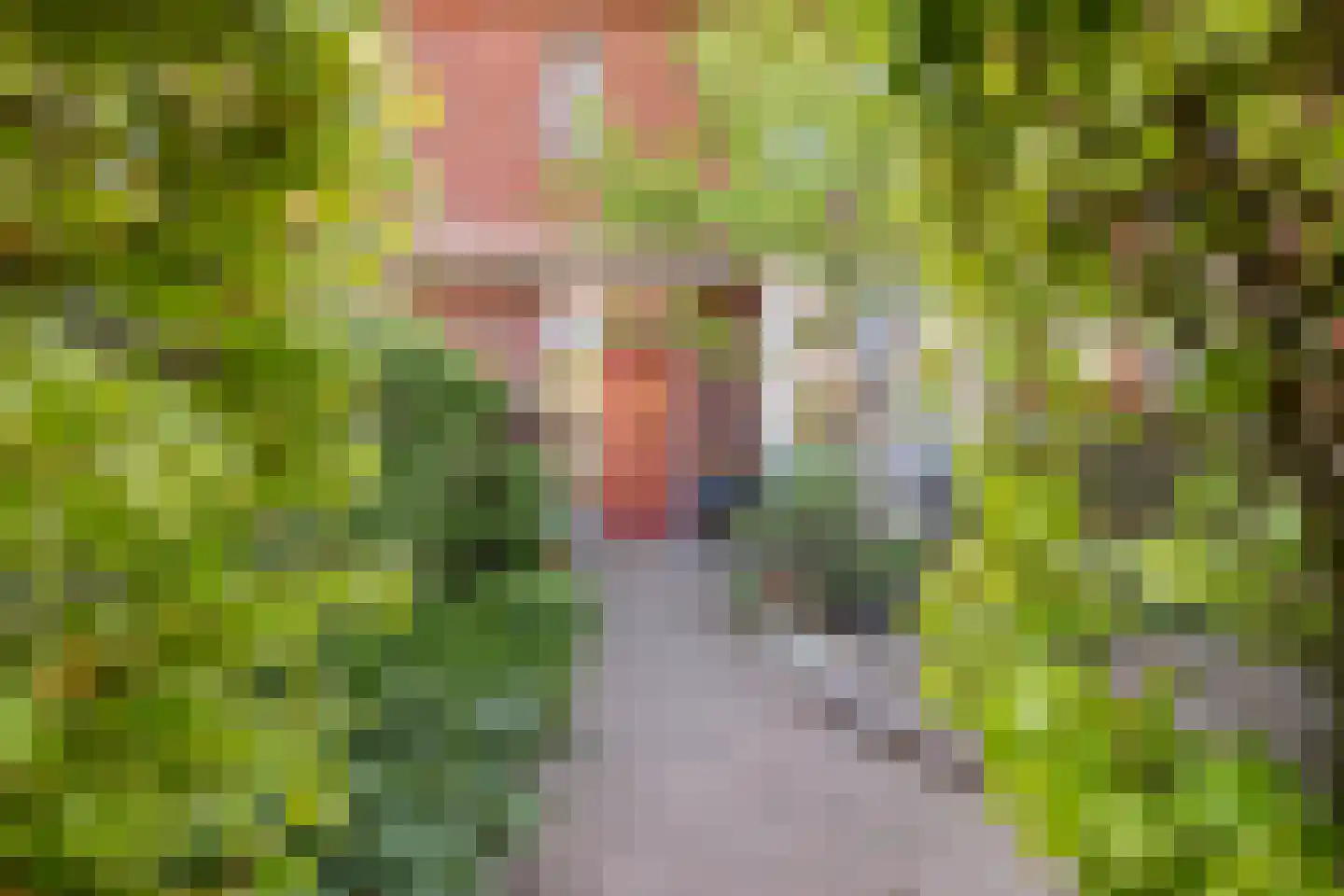 Boterbloemstraat 23 Arnhem thumbnail 6