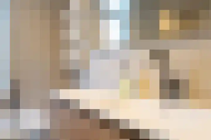 Boterbloemstraat 26 Voorhout thumbnail 19