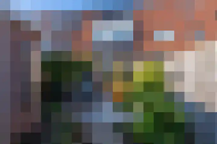 Boterbloemstraat 26 Voorhout thumbnail 27