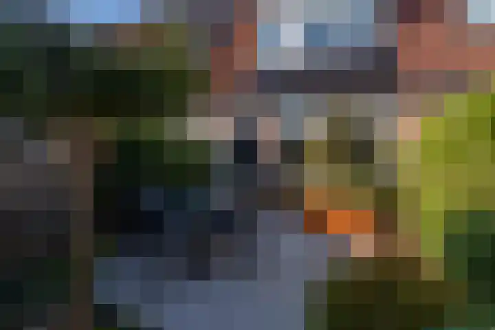 Boterbloemstraat 26 Voorhout thumbnail 28