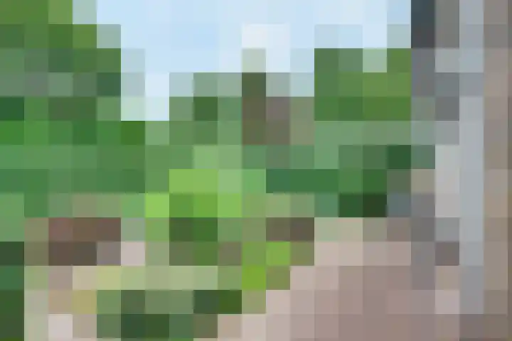 Boterbloemstraat 3 Rosmalen thumbnail 20