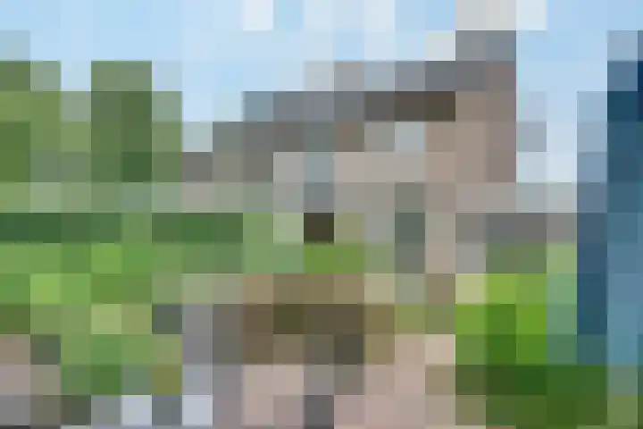 Boterbloemstraat 3 Rosmalen thumbnail 21