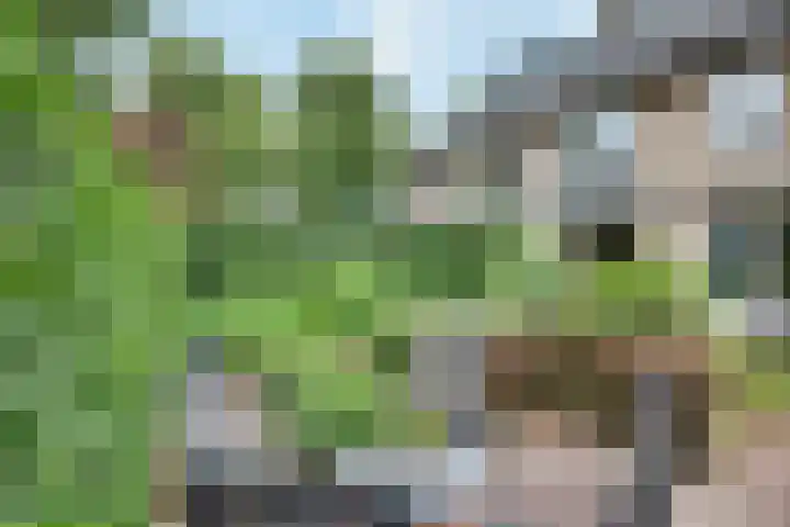 Boterbloemstraat 3 Rosmalen thumbnail 22