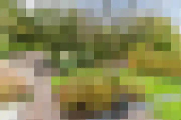 Boterbloemstraat 3 Vught thumbnail 38
