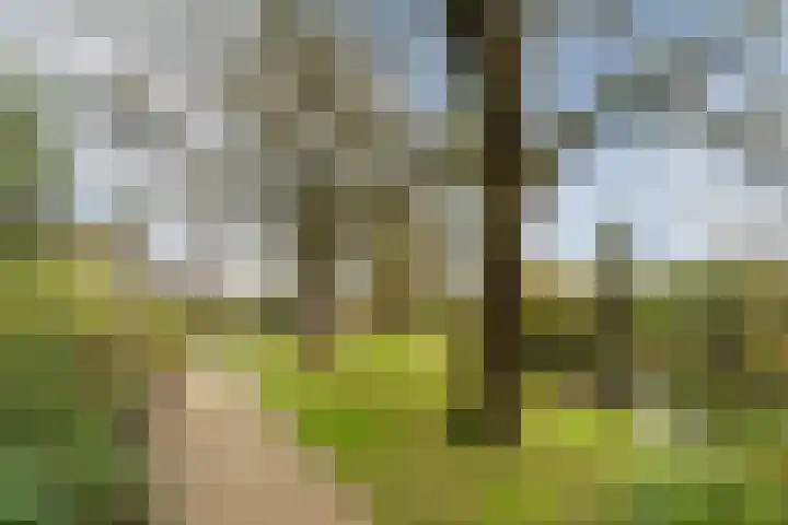 Boterbloemstraat 3 Vught thumbnail 46