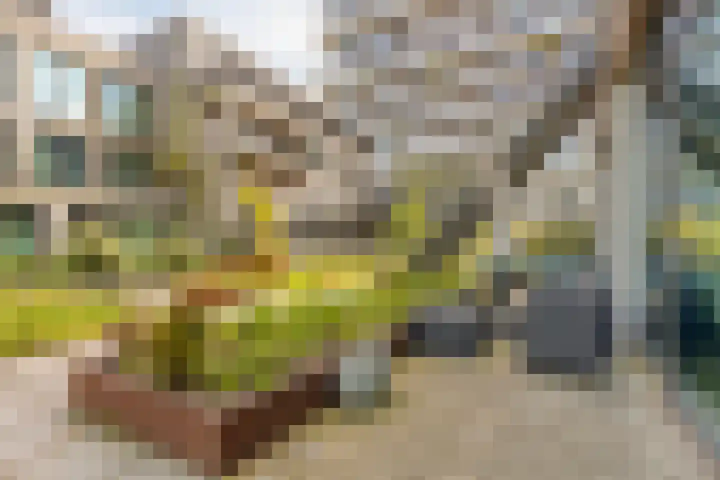 Boterbloemstraat 35 Amsterdam thumbnail 37