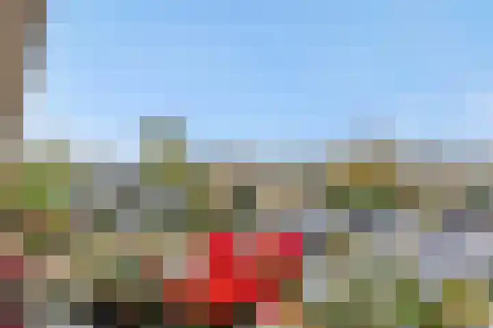 Boterbloemstraat 37 Vught thumbnail 33