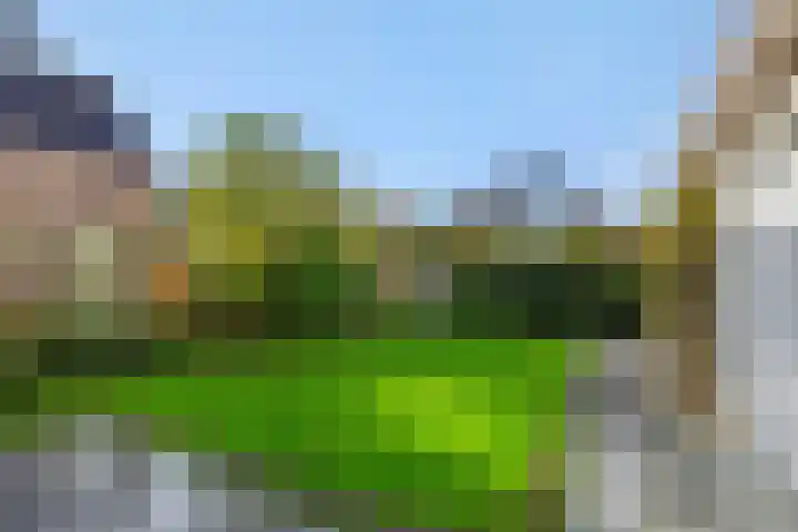 Boterbloemstraat 37 Vught thumbnail 37