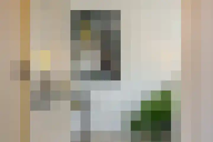 Boterbloemstraat 37 Vught thumbnail 4