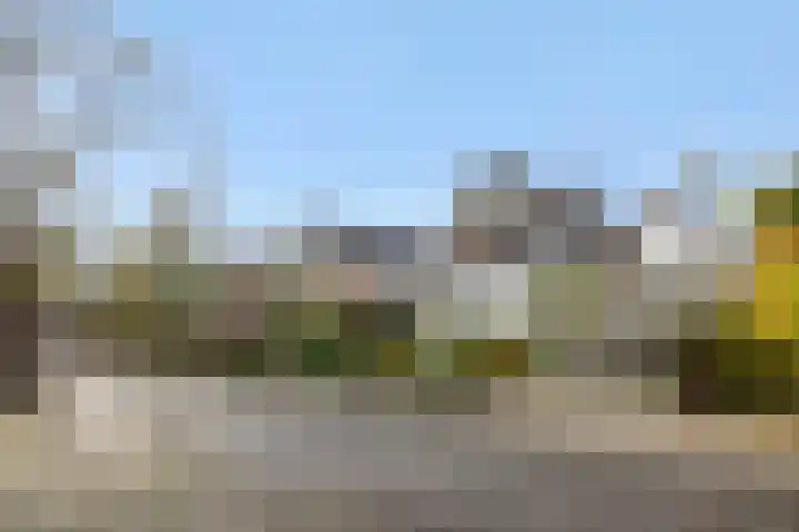 Boterbloemstraat 37 Vught thumbnail 47