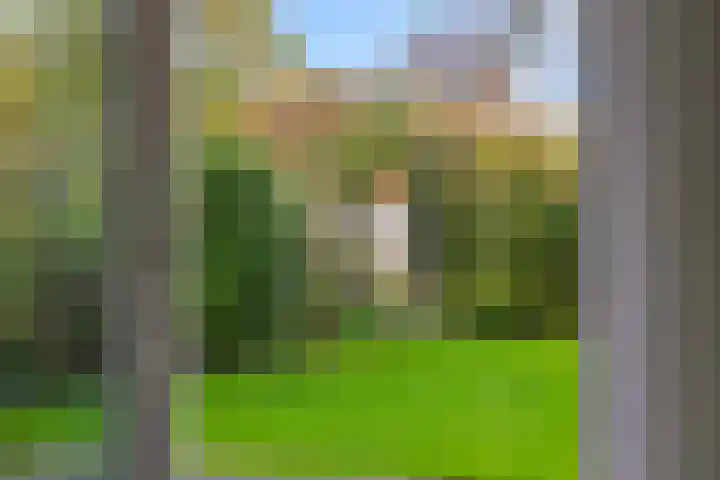 Boterbloemstraat 37 Vught thumbnail 7