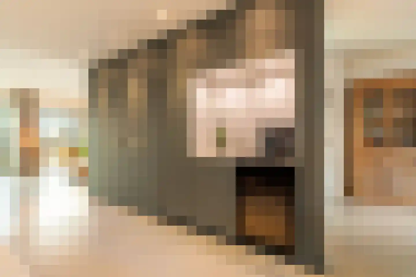 Boterbloemstraat 39 Amsterdam thumbnail 11