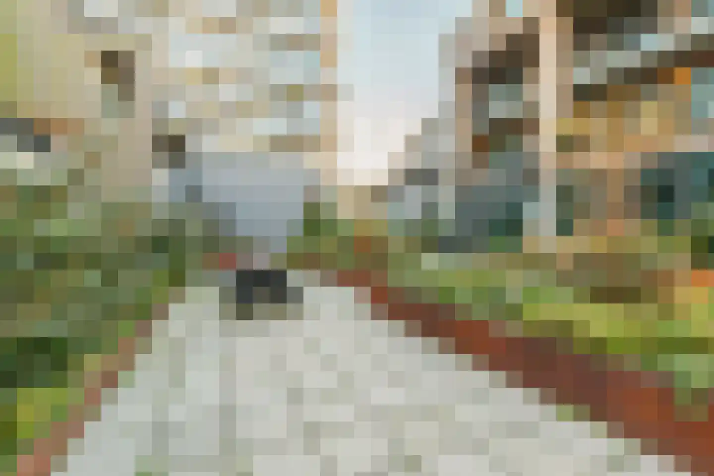 Boterbloemstraat 39 Amsterdam thumbnail 22