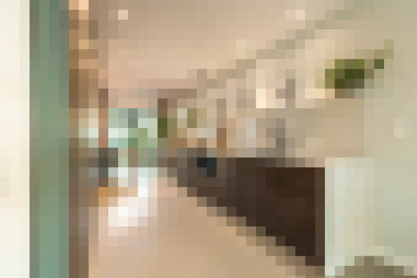 Boterbloemstraat 39 Amsterdam thumbnail 8