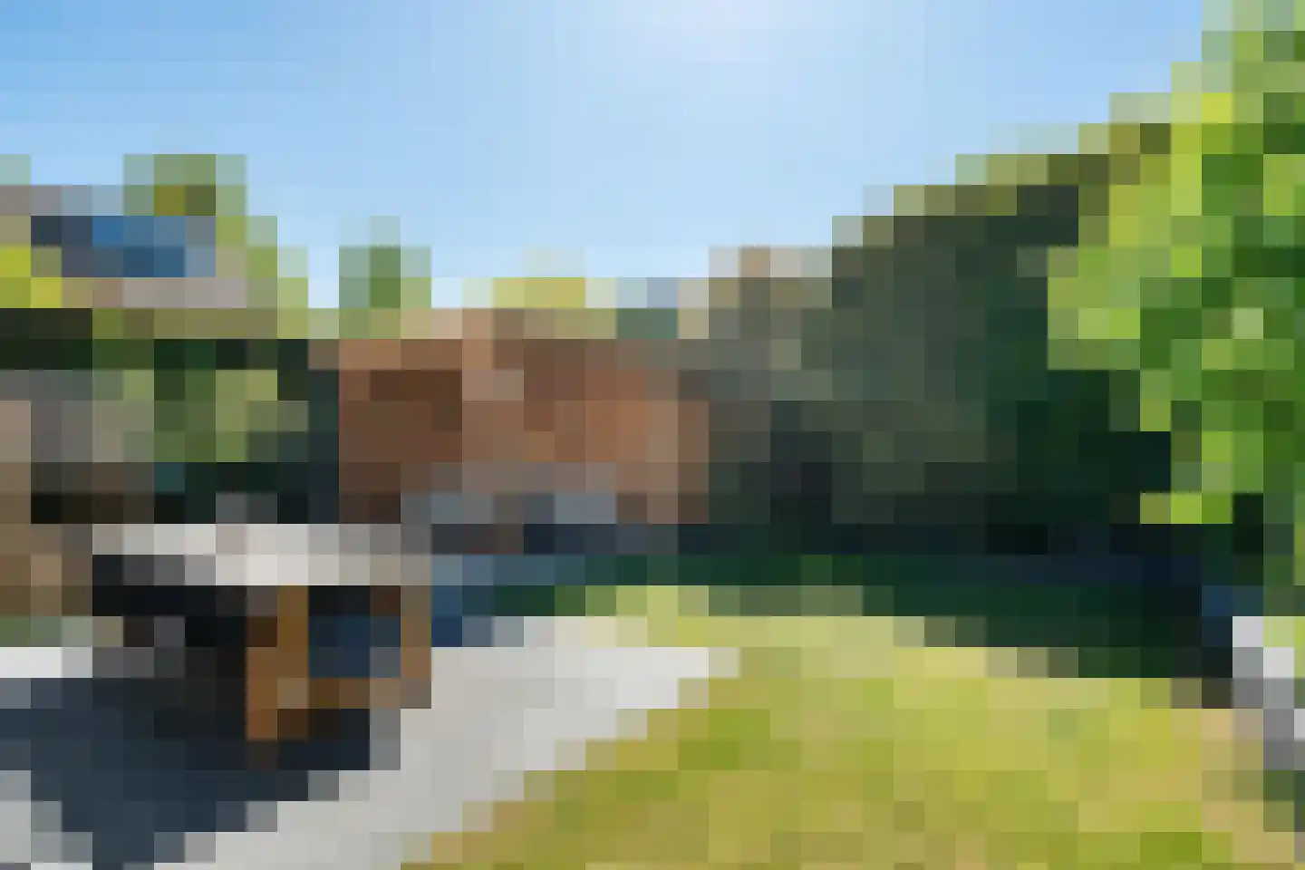 Boterbloemstraat 4 Rosmalen thumbnail 38