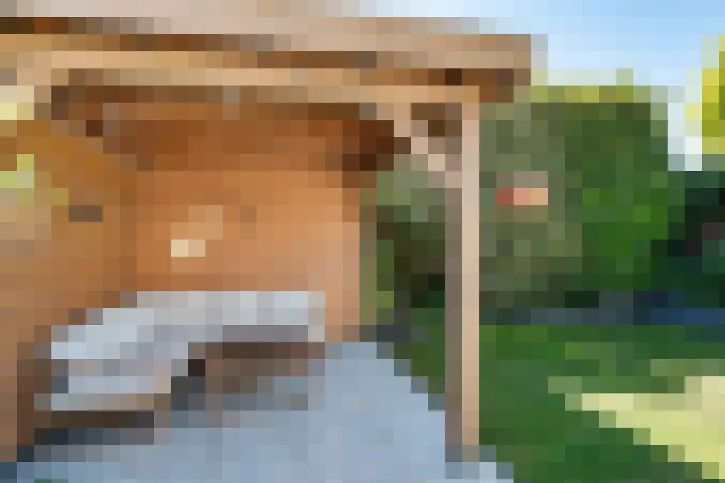 Boterbloemstraat 4 Rosmalen thumbnail 39
