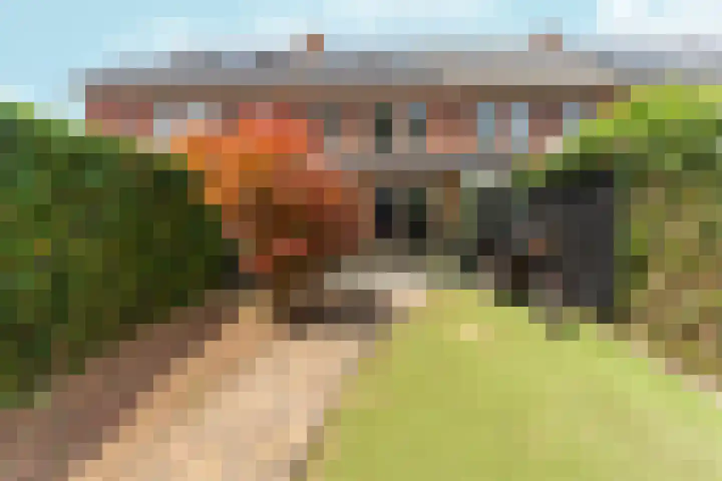Boterbloemstraat 41 Arnhem thumbnail 37