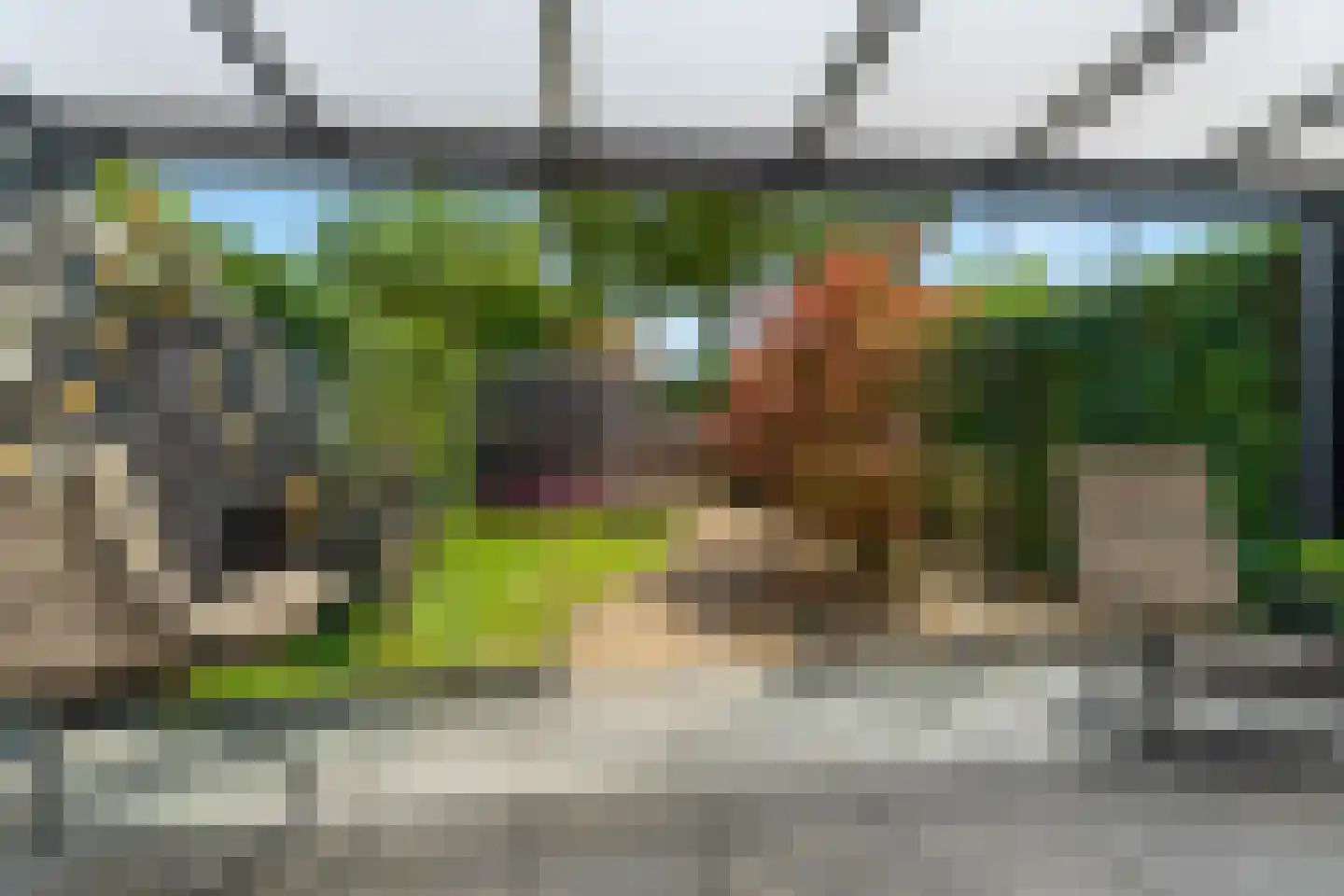 Boterbloemstraat 41 Arnhem thumbnail 38