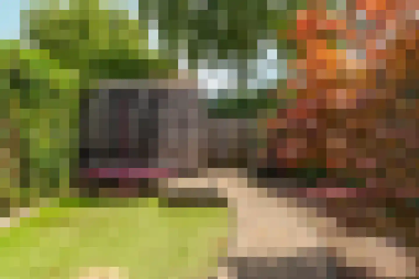 Boterbloemstraat 41 Arnhem thumbnail 43