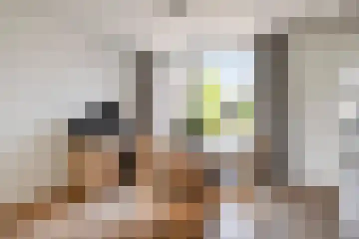 Boterbloemstraat 43 Odiliapeel thumbnail 6
