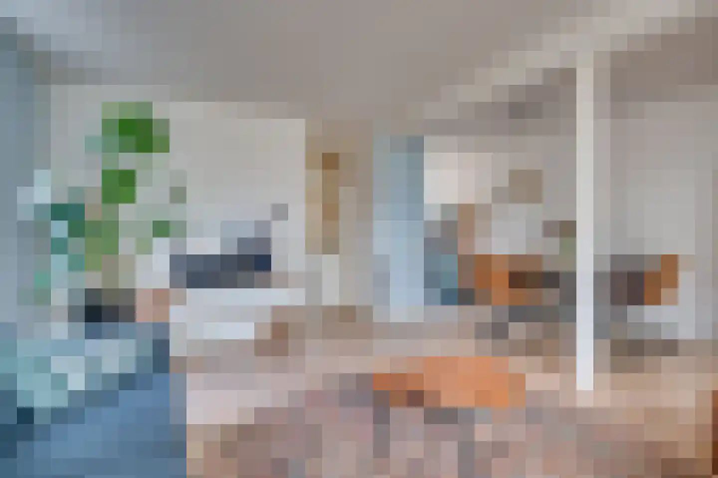 Boterbloemstraat 50 Reuver thumbnail 14