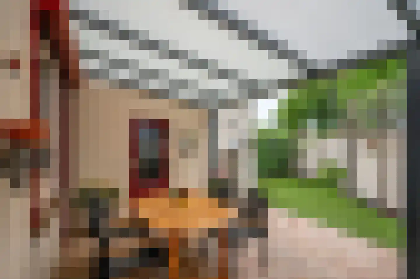 Boterbloemstraat 50 Reuver thumbnail 44