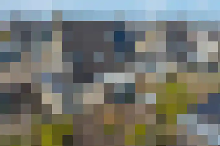Boterbloemstraat 6 Appingedam thumbnail 48