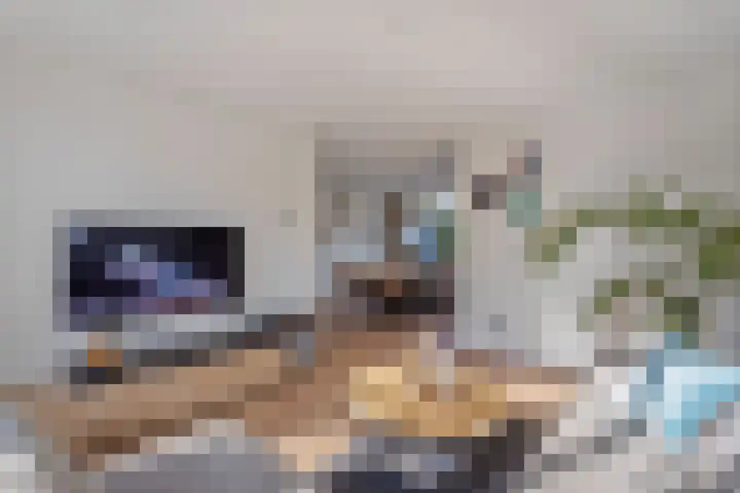 Boterbloemstraat 6 Denekamp thumbnail 12