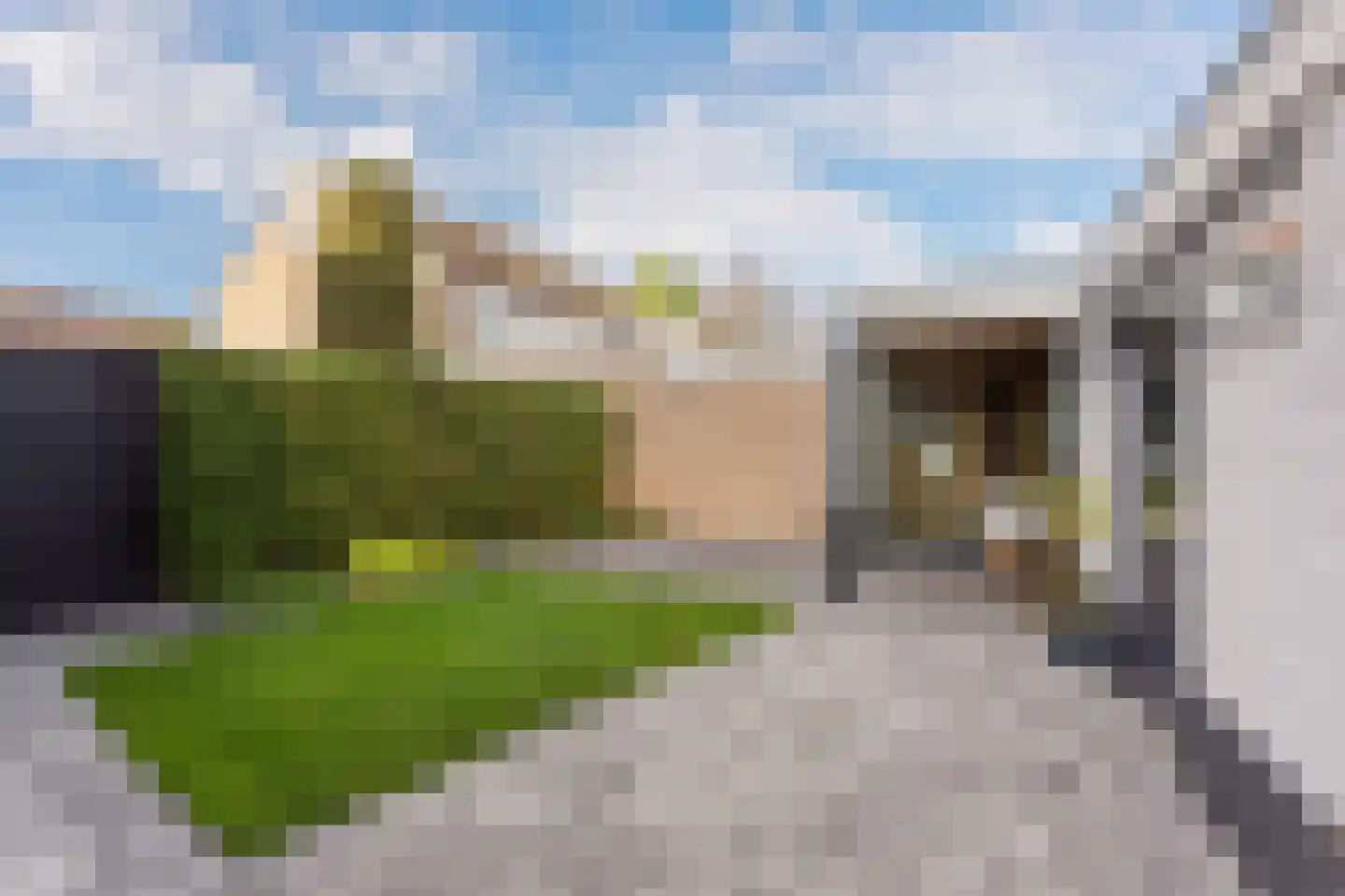 Boterbloemstraat 6 Denekamp thumbnail 21