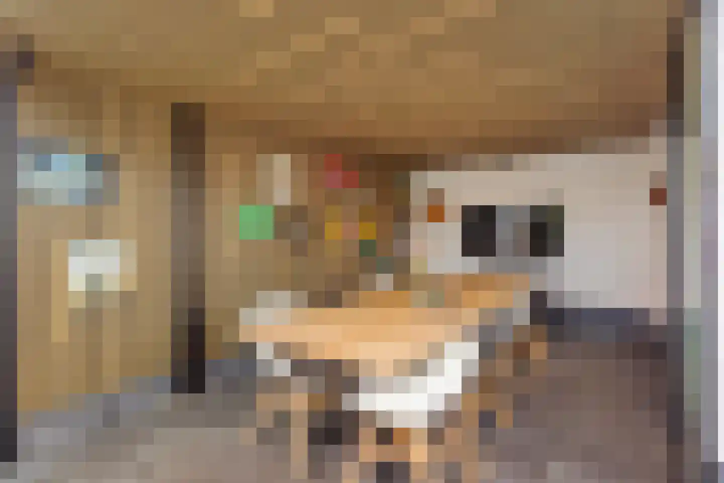 Boterbloemstraat 6 Denekamp thumbnail 23